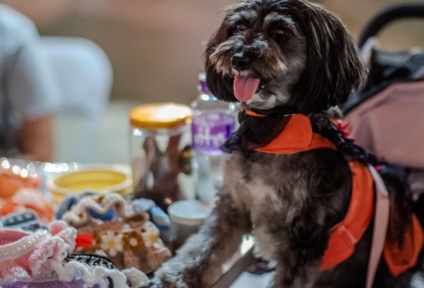 WhatsApp 圖片2023-10-2815.05.51_3ce8b11d